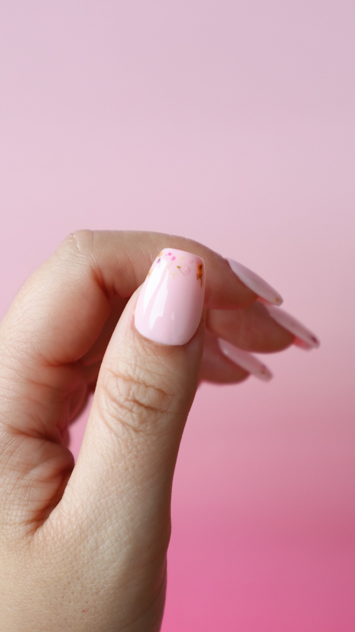 Soft Pink flowers