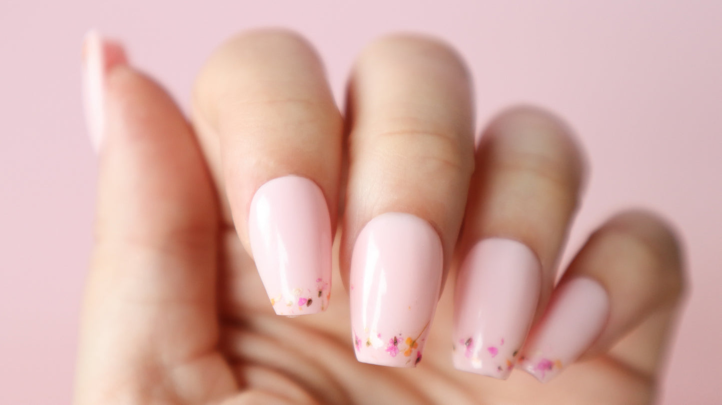 Soft Pink flowers